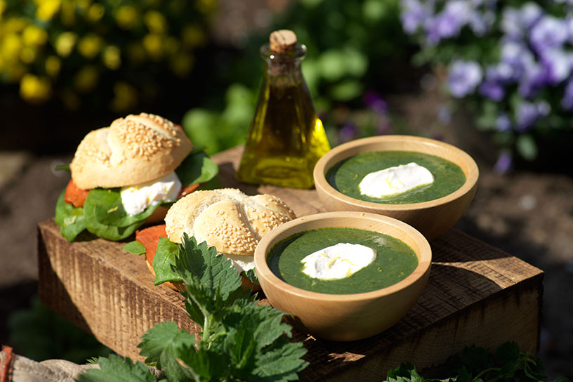 Brandnetel-spinaziesoep in twee kommetjes geserveerd op een houten plank met twee broodjes en een flesje olijfolie